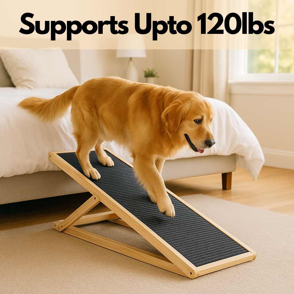 PupLift™ - Paw Ramp