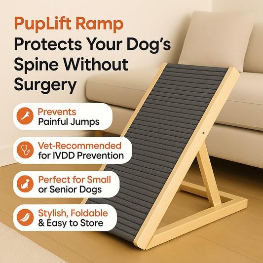 PupLift™ - Paw Ramp